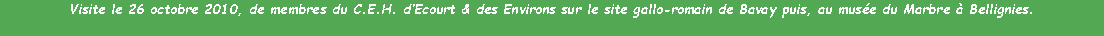 Zone de Texte: Visite le 26 octobre 2010, de membres du C.E.H. dEcourt & des Environs sur le site gallo-romain de Bavay puis, au muse du Marbre  Bellignies.