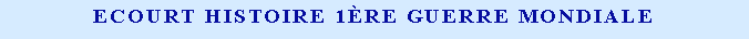 Zone de Texte: Ecourt Histoire 1re Guerre Mondiale 