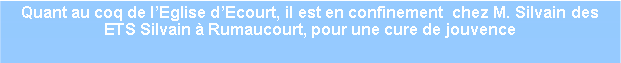 Zone de Texte: Quant au coq de lEglise dEcourt, il est en confinement  chez M. Silvain des ETS Silvain  Rumaucourt, pour une cure de jouvence