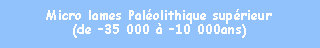 Zone de Texte: Micro lames Palolithique suprieur(de 35 000  10 000ans)