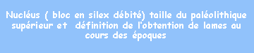 Zone de Texte: Nuclus ( bloc en silex dbit) taille du palolithique suprieur et  dfinition de lobtention de lames au cours des poques