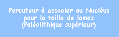 Zone de Texte: Percuteur  associer au Nuclus  pour la taille de lames (Palolithique suprieur)