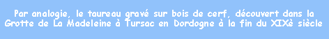 Zone de Texte: Par analogie, le taureau grav sur bois de cerf, dcouvert dans la Grotte de La Madeleine  Tursac en Dordogne  la fin du XIX sicle